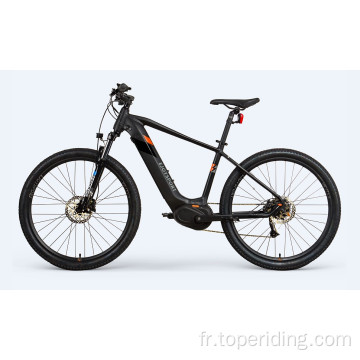 Mountain E Motion Bike Ebike